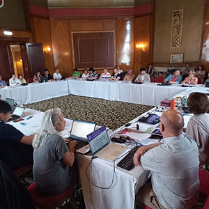 12-Council Meeting